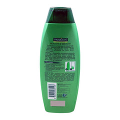 Palmolive Naturals Healthy & Smooth Shampoo - 375ml