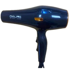Daling DL-3015 Hair Dryer (2200W)