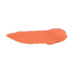 Color Institute Foundation Stick