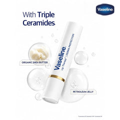 Vaseline Lip Therapy Serum Infused Derma Protection lip balm - 3g