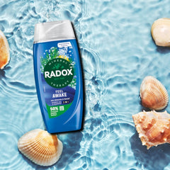 Radox Feel Awake Sea Minerals & Fennel Shower Gel - 225ml