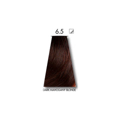 Keune Tinta Deal DARK MAHOGANY BLONDE 6.5 with Keune Developer 20 Volume - 60 ml