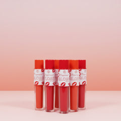 fflomror Beautiful Velvet Lip Gloss