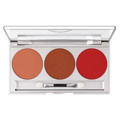 3 Color Fashion Trend Blush On Palette