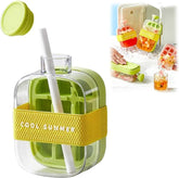 2-in-1 Ice Tray & Straw Cup for Instant Icy Drinks