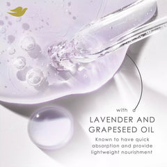 Dove Lavender & Volume Shampoo - 355ml