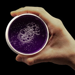 Red One Full Force Maximum Control VOILETTA Aqua Hair Wax - 150ml