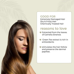 Silky Techno Basic .04 Hair Repair Treat Shampoo - 250ml