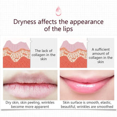 BIOAQUA Lip Care Keep Lip Lasting Moisture Replenishment Lip Sleeping Mask β 20g