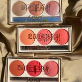 Sasa Blush and Highlighter