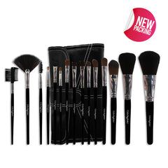 Color Institute 15 Piece Brush set With pouch.
