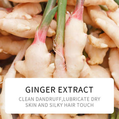 Sadoer Plant Ginger Refreshing Pliable Shampoo - 500ml