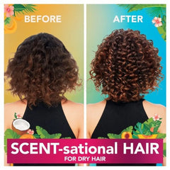 Herbal Essences Tropical Hydration Shampoo - 400ml