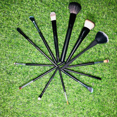 LOREAL Premium Makeup 13 pcs Brush Set