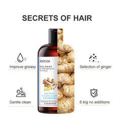 JOMTAM Ginger Herbal Shampoo Anti-Hair Loss Itching Dandruff Control - 400ml