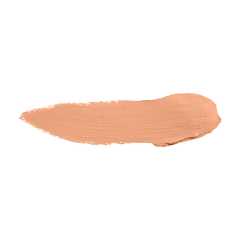 Color Institute Foundation Stick