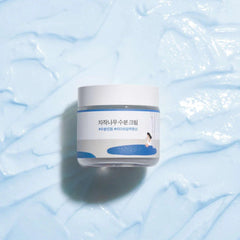 Round Lab Birch Juice Moisturizing Cream - 80ml