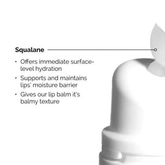The Ordinary Squalane + Amino Acids Lip Balm - 15ml