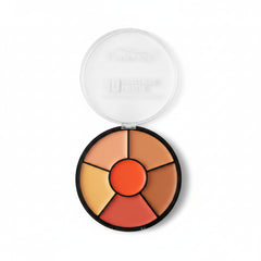 Fab Secret HD Concealer Palette - 6 in 1
