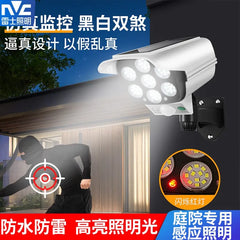 Camera Shape Solar Motion Sensor Light