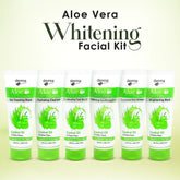 Derma Clean Aloe Vera Whitening Facial Kit - 6 pcs