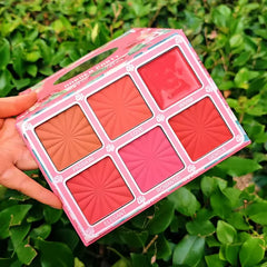 IGOODCO 6 in 1 blush palette