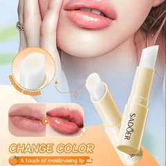 Sadoer Sandwich Temperature Changing Lipstick