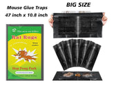Big Size Mouse Glue Traps - Heavy Duty Rat Traps