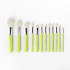 BH Cosmetics Colour Festival Brush Collection – 12 Pcs