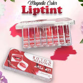 Magnetic Color Lip Tint set.