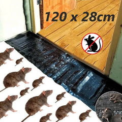 Super Glue Rat Magic Carpet