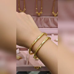 Rajwari 2Pcs Bangles Set