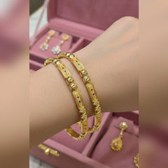 Rajwari 2Pcs Bangles Set