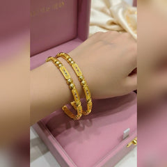 Rajwari 2Pcs Bangles Set