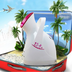 Imported Facial Face Steamer