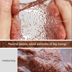 Lollywood Style's Algae Mask | Pure Seaweed 50 gm Medium