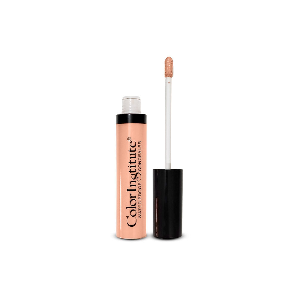 Color Institute Waterproof Hd Liquid Concealer