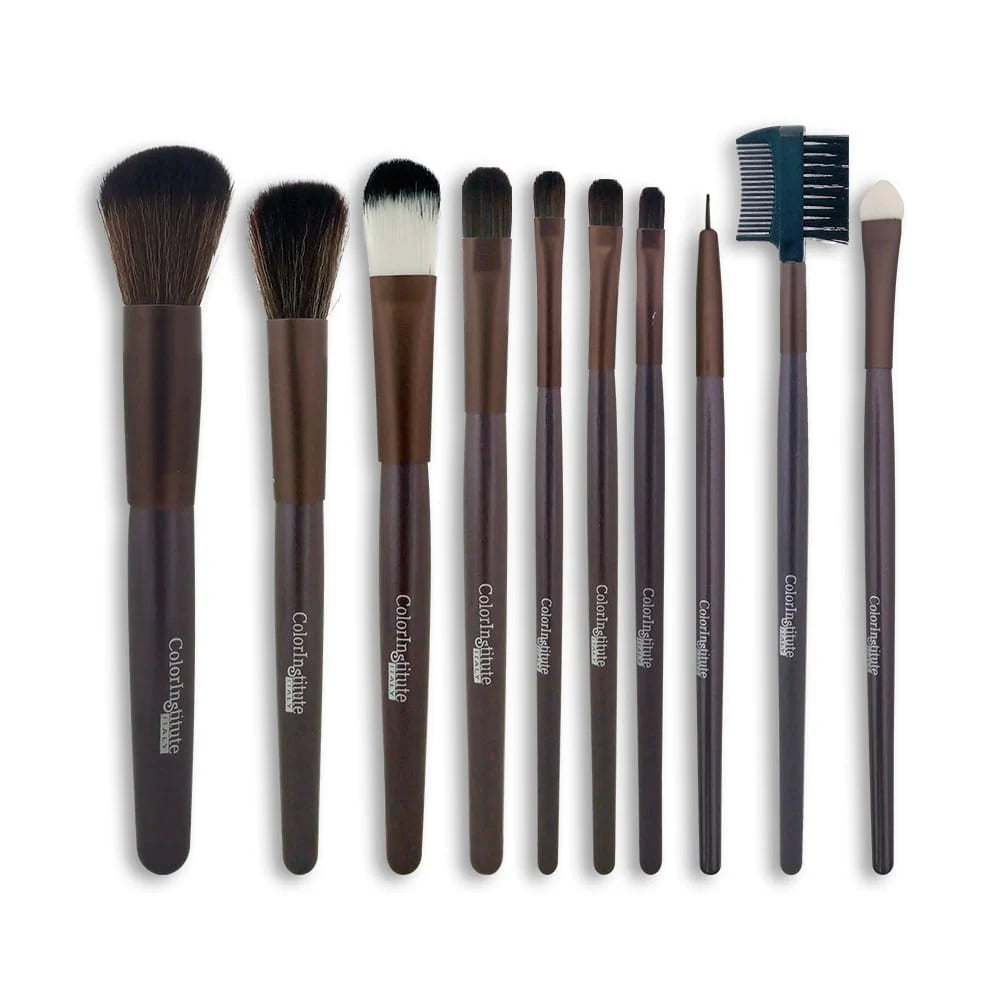 Color Institute 10 Piece Leather Brush set