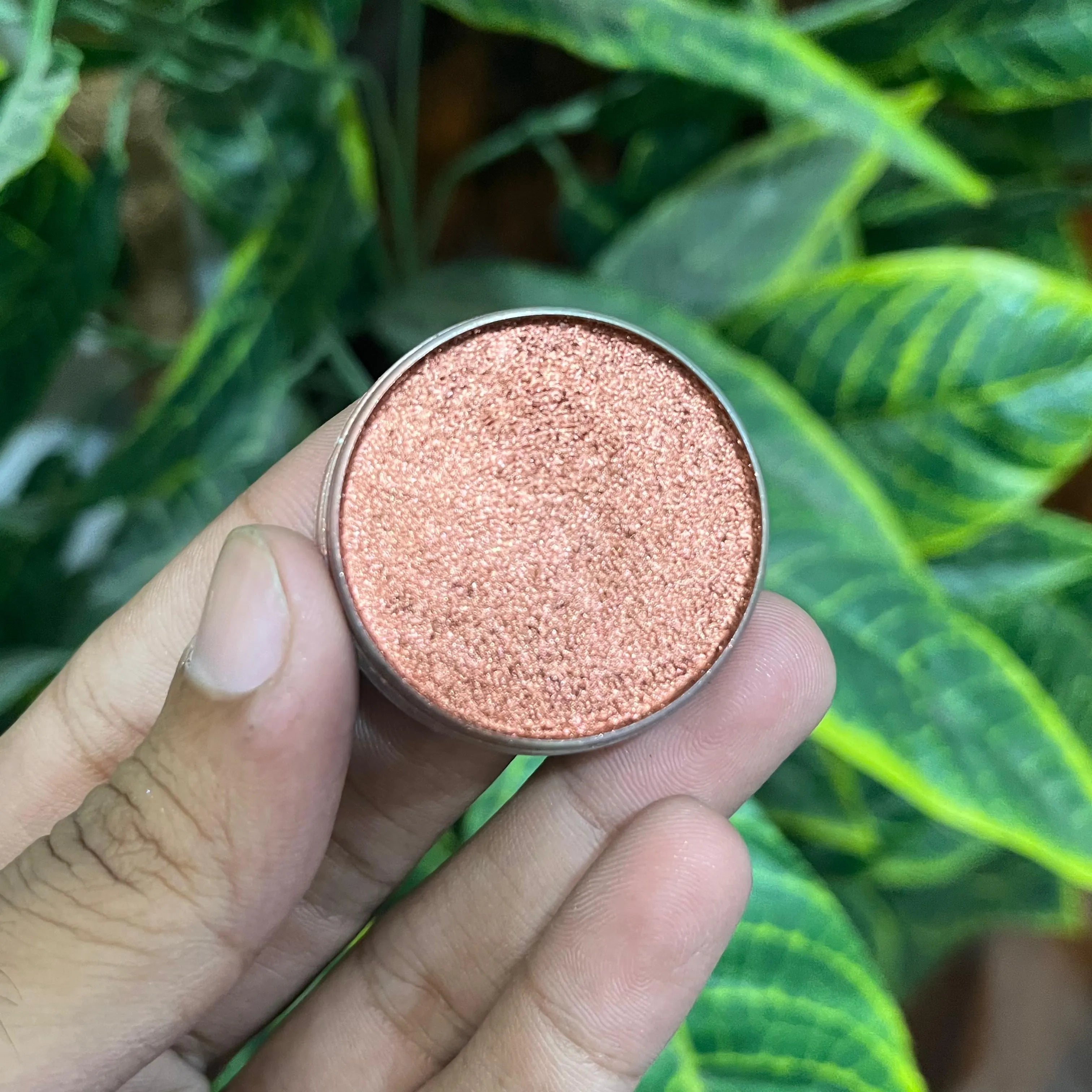 Oscars Beauty Interference Eyeshades