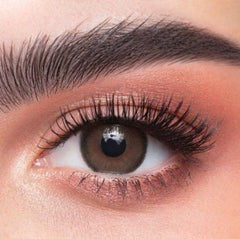 Dahab Daily Wear Collection CAPPUCCINO Contact Lenses