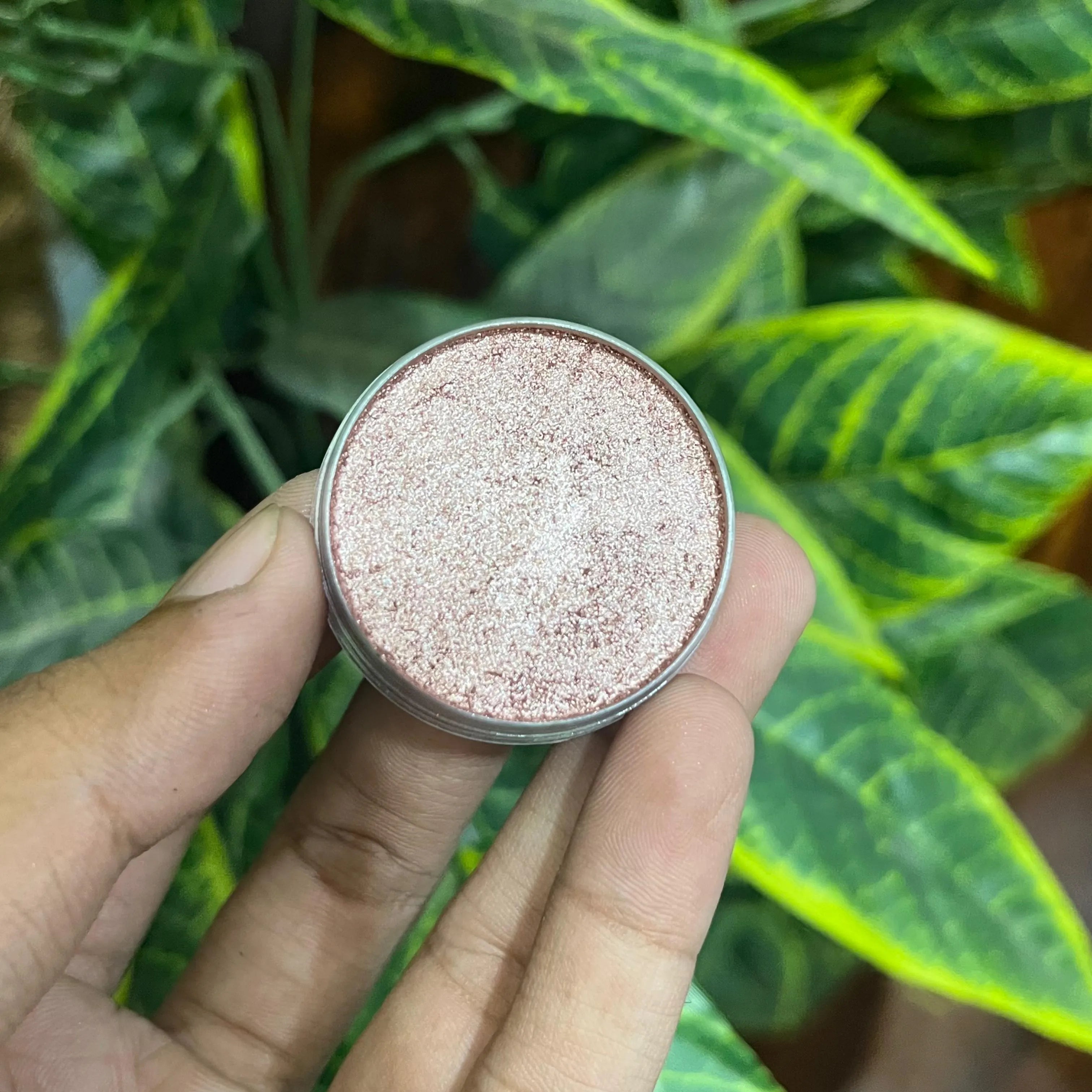 Oscars Beauty Interference Eyeshades