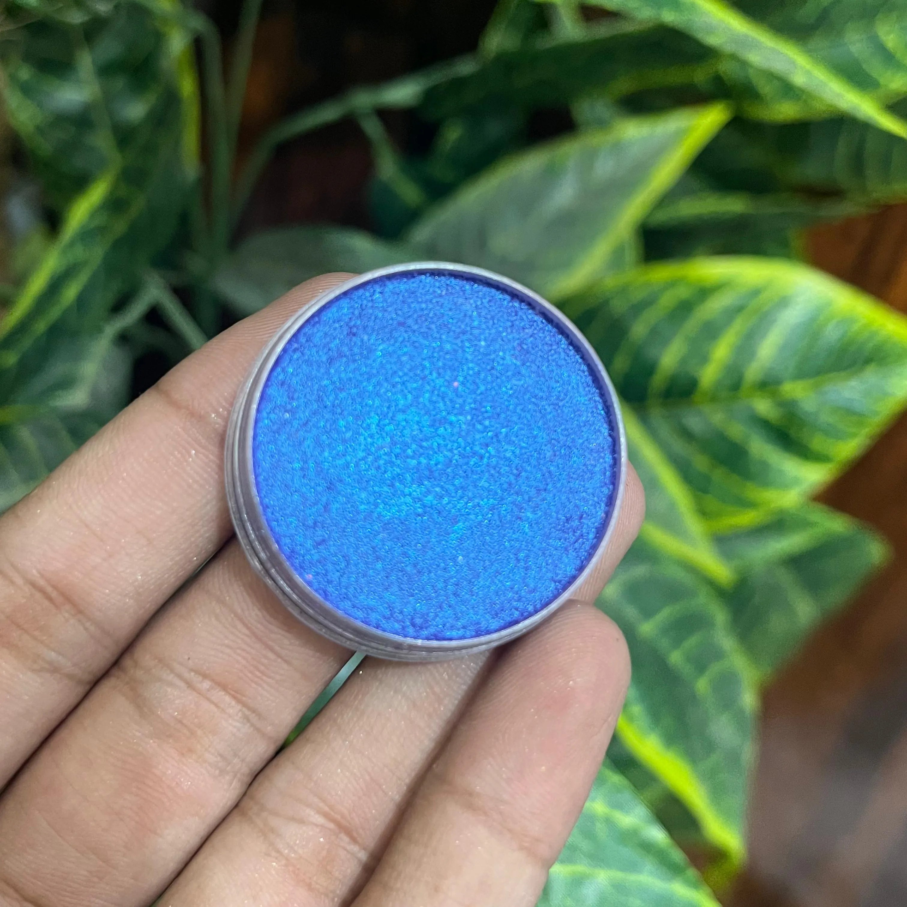 Oscars Beauty Interference Eyeshades