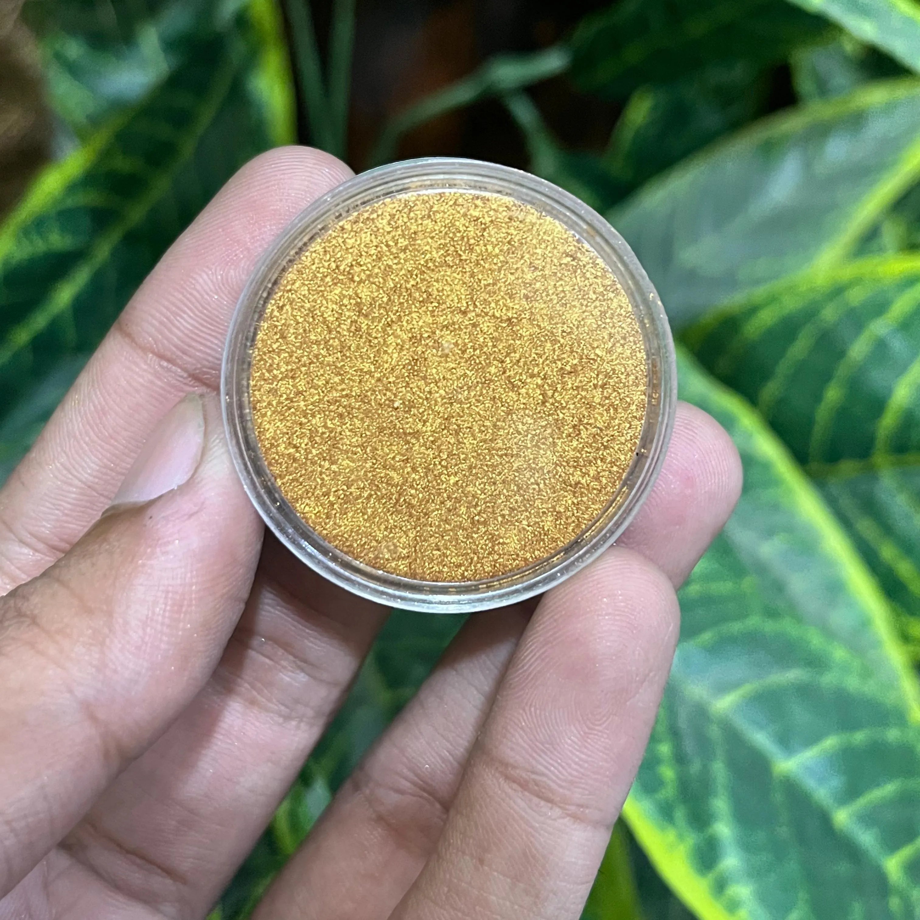 Oscars Beauty Interference Eyeshades