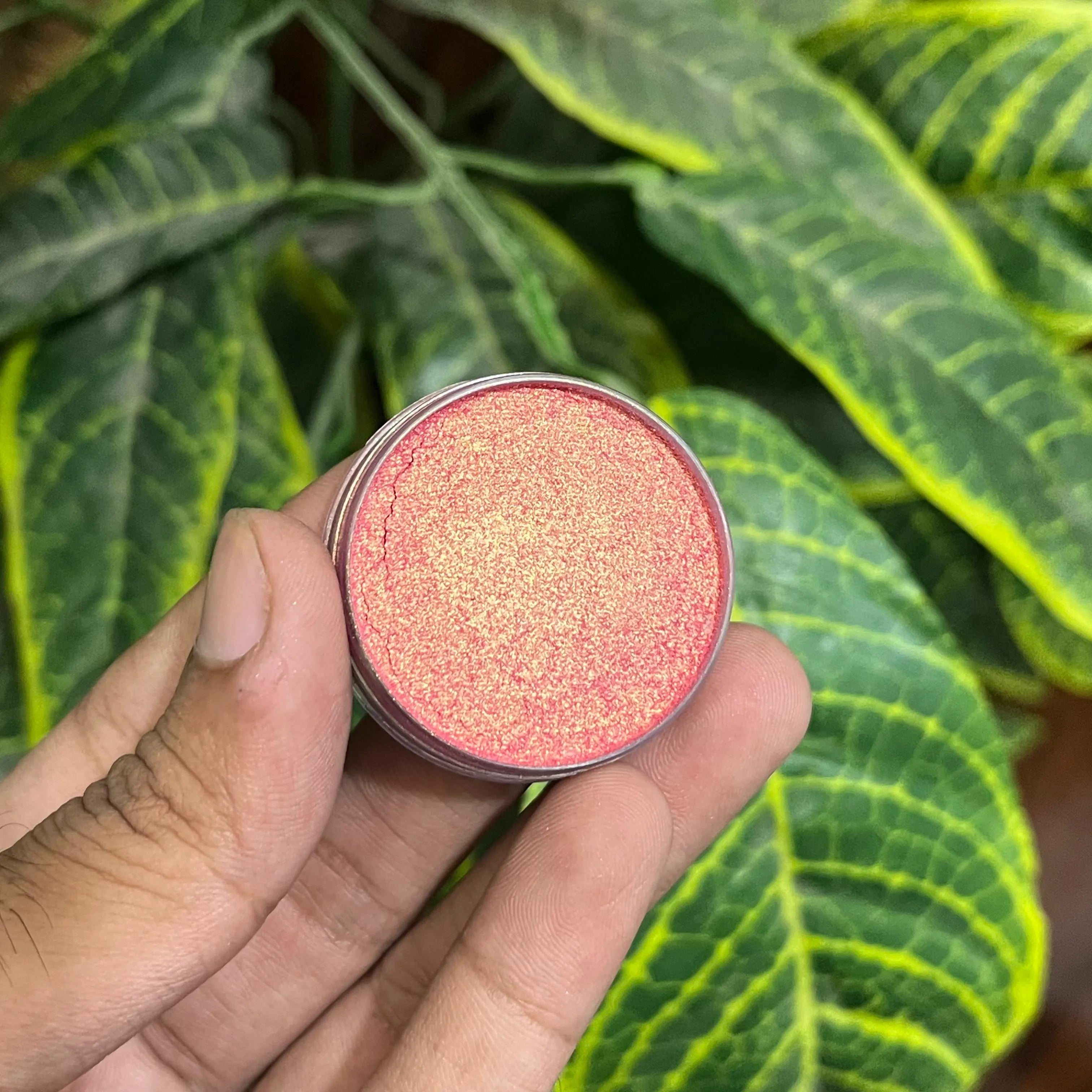 Oscars Beauty Interference Eyeshades