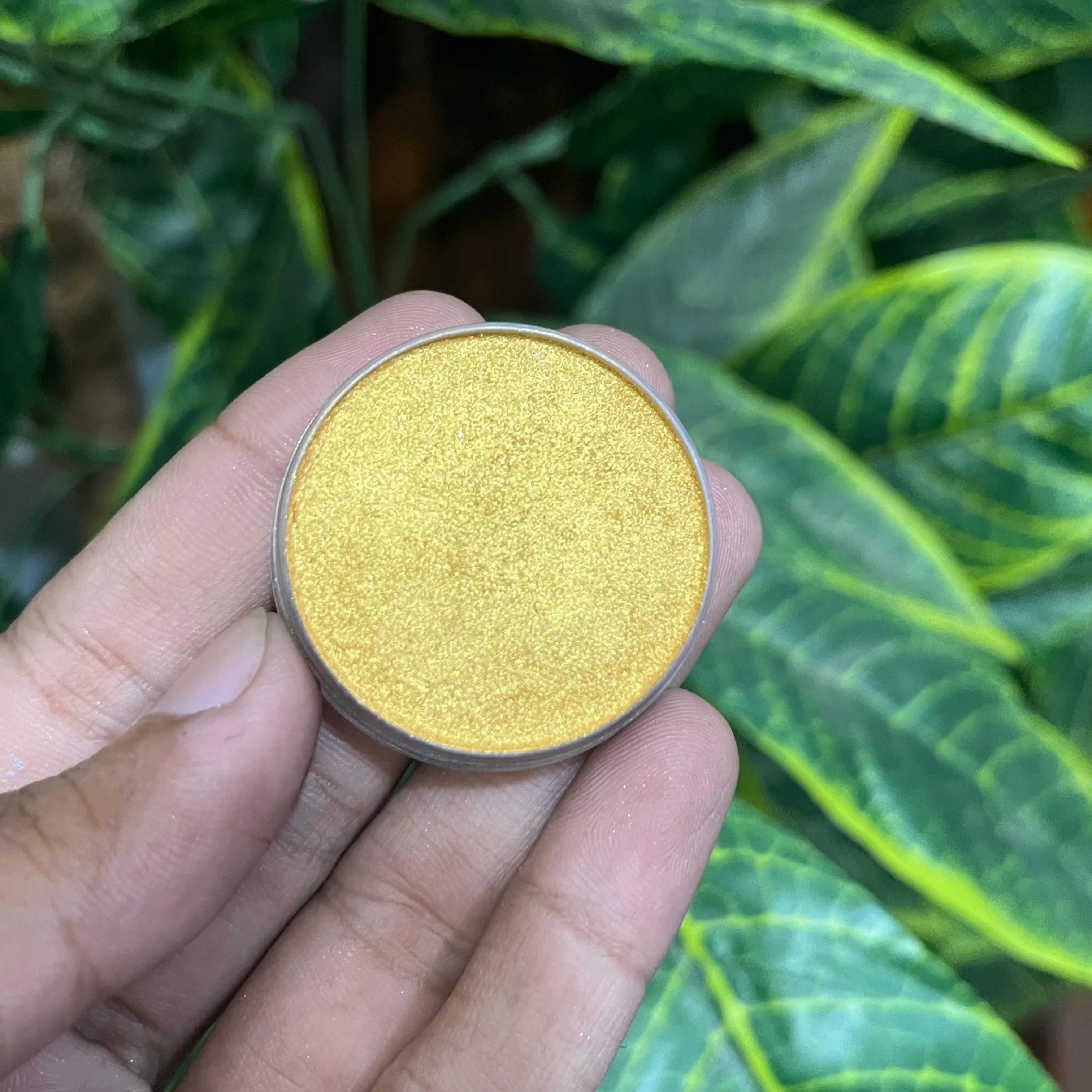 Oscars Beauty Interference Eyeshades