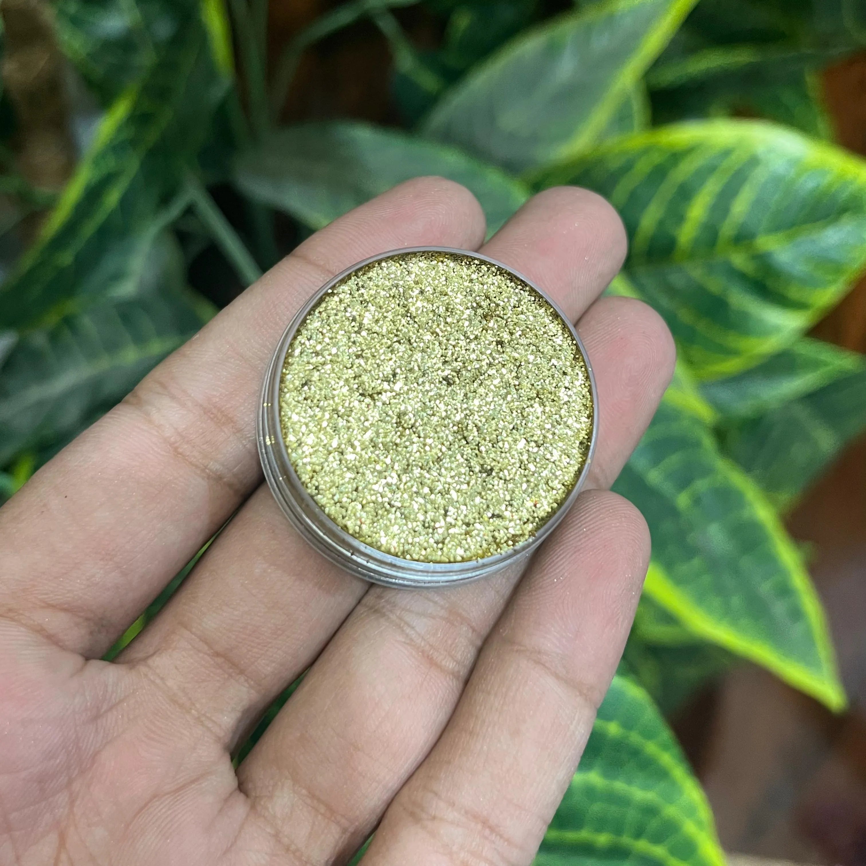 Oscars Beauty Interference Eyeshades