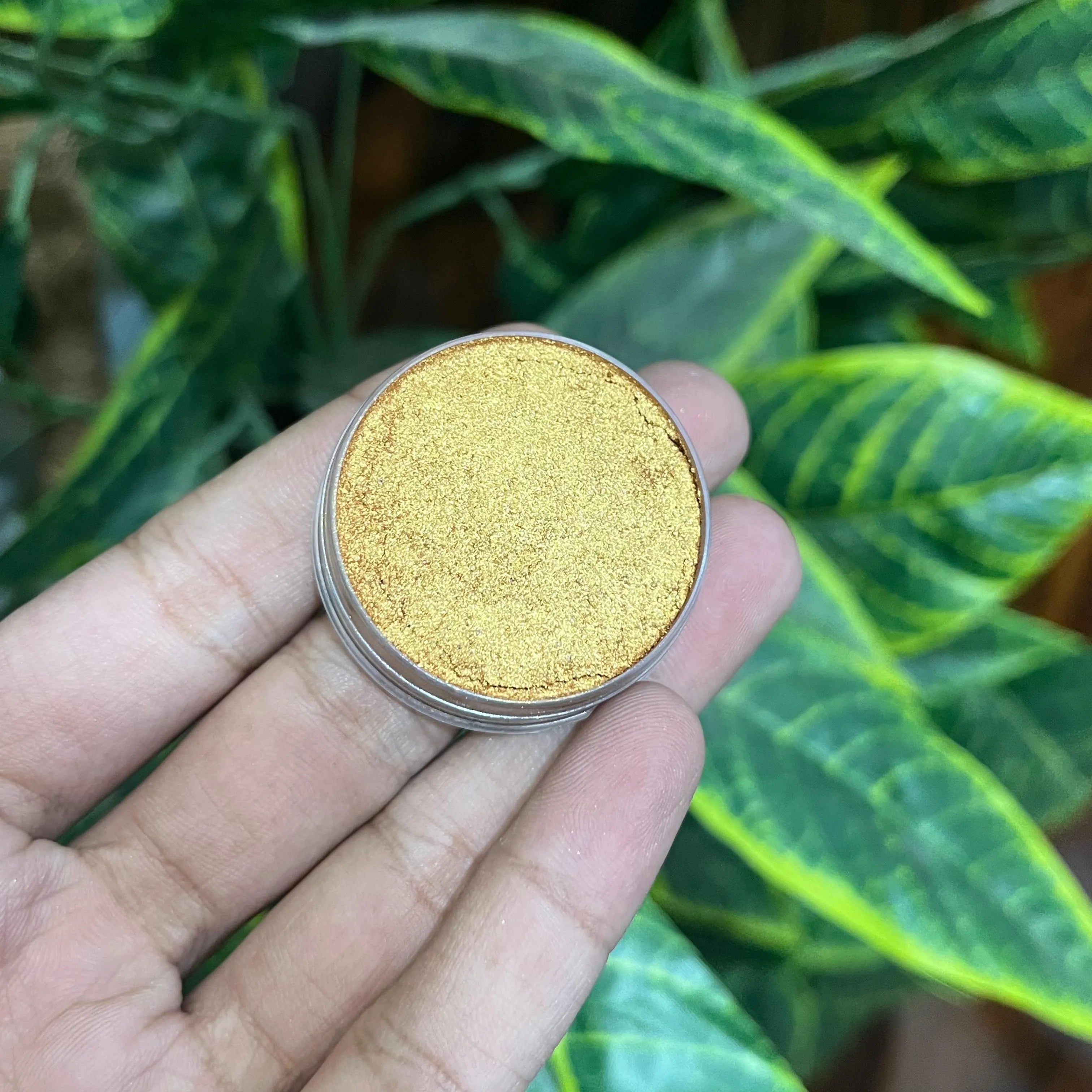 Oscars Beauty Interference Eyeshades