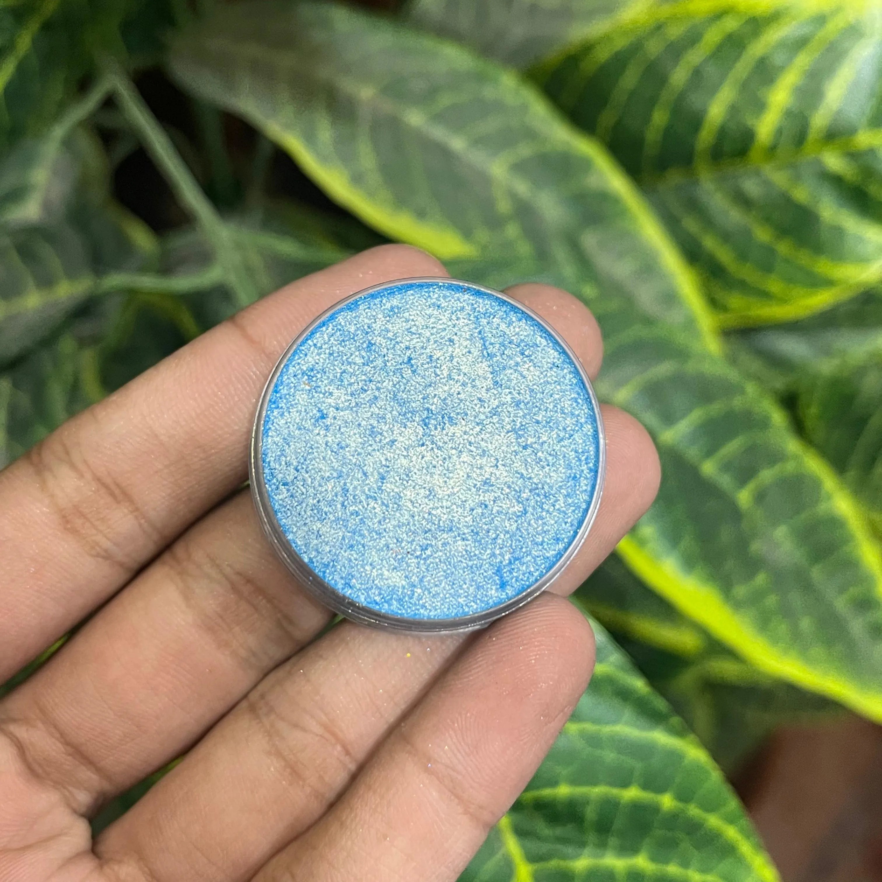 Oscars Beauty Interference Eyeshades