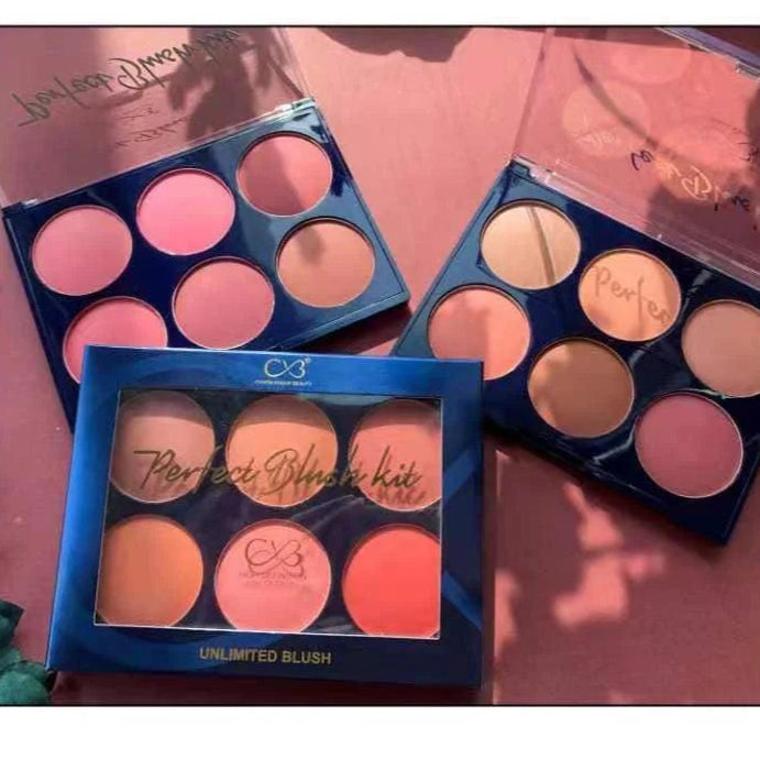 CVB Blush & Contour Kit