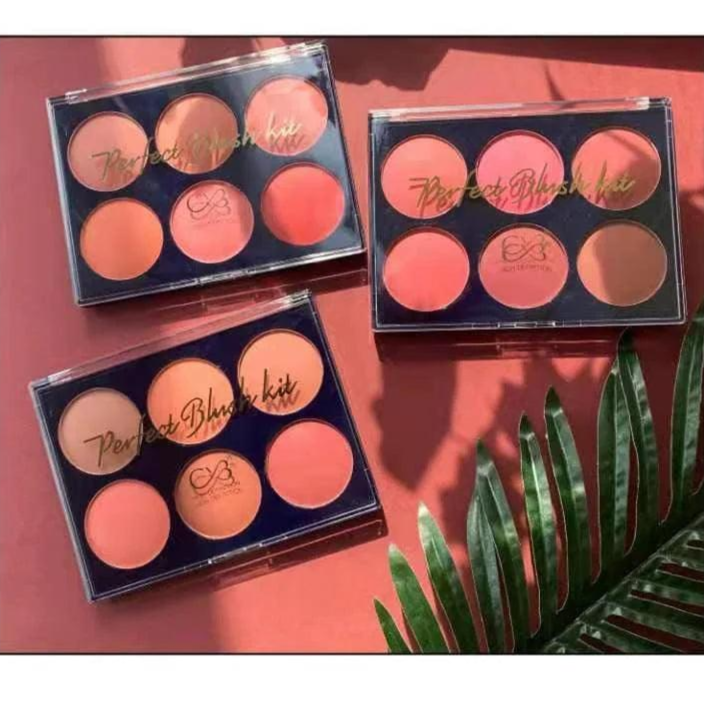CVB Blush & Contour Kit